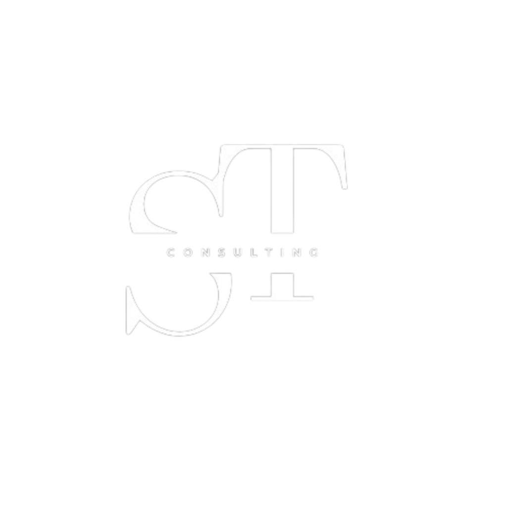 About SNT Consult